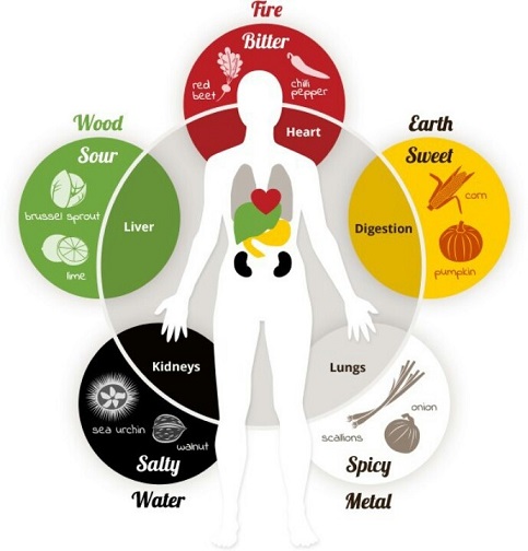 Balancing the Five elements, Lungs, kidneys, liver, heart, stomach promote health and well being