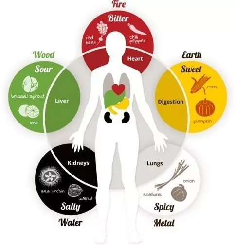 Balancing the Five elements, Lungs, kidneys, liver, heart, stomach promote health and well being